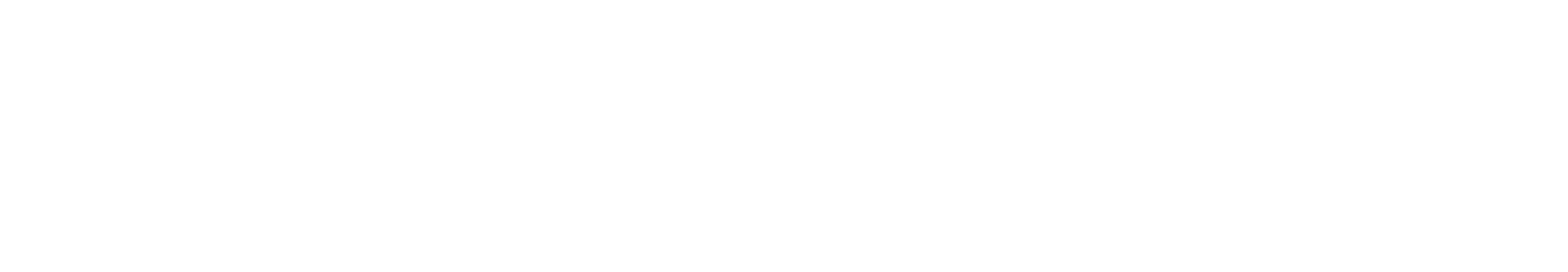 Cheat Lake Travel Logo